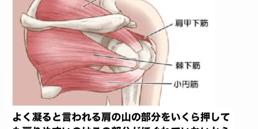 FADE26F4-3799-40BB-A630-A0200705147D